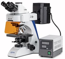 OBN-148-(1).jpg