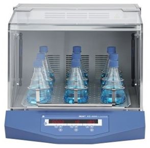 3216__88818.jpg