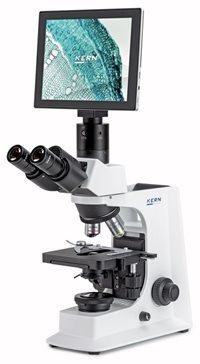 OBL-137T241.jpg