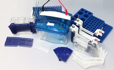 PG01-PAGE-protein-system-complete.jpg