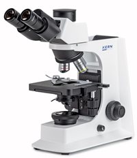 OBL-137.jpg